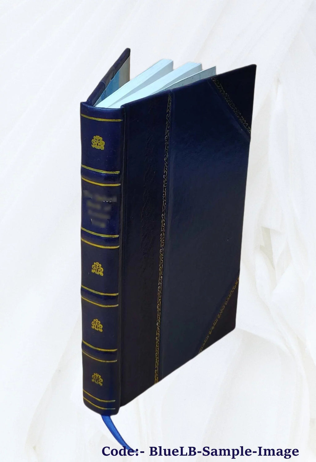 Et Volume 2 [Leather Bound] eller: Enten - livs-fragment 1878