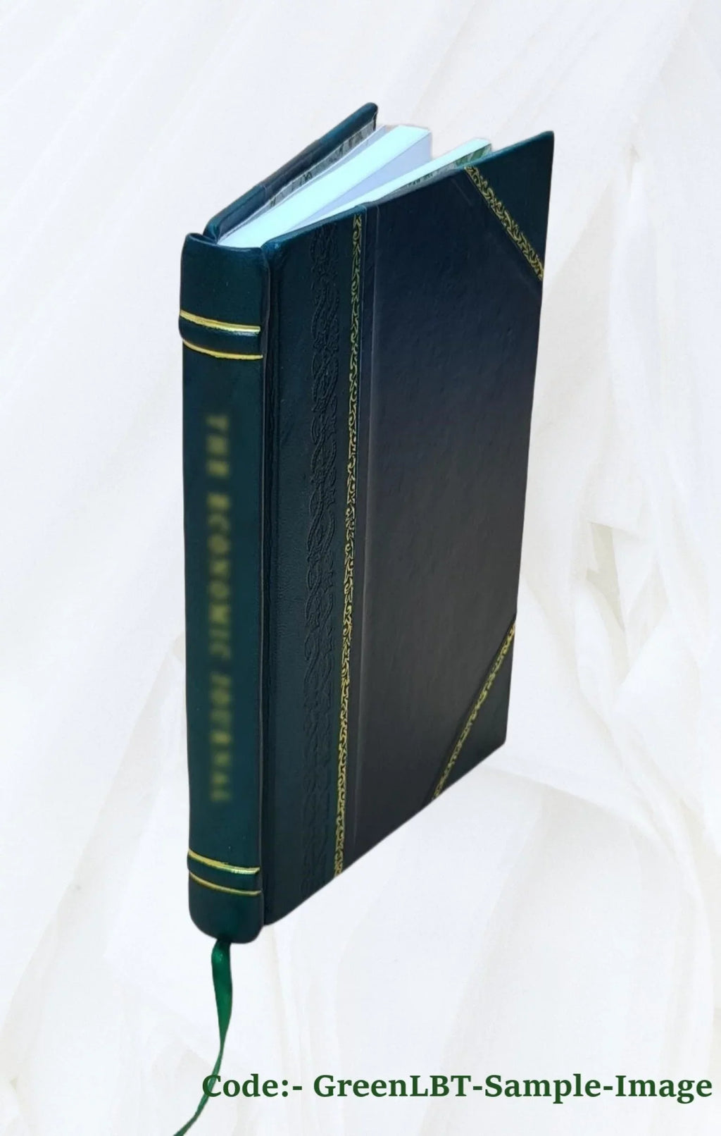 San Santa Santa River, Cruz California. Section restoration Lorenzo Draft environmental 1996 study, Cruz, city : 1135 Bound] [Leather County, assessment of